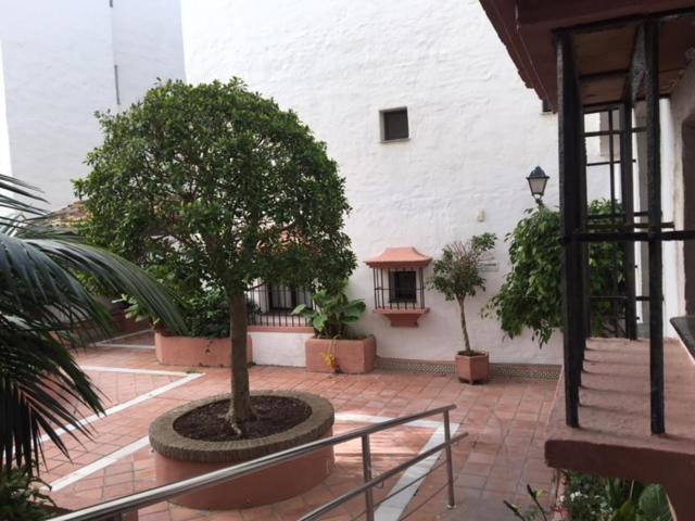 Large And Elegant In Puerto Banus With Pools And Paddle Lägenhet Marbella Exteriör bild